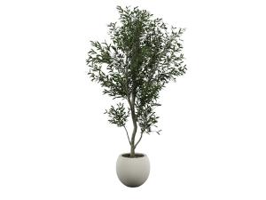 Heritage Olive Tree (CEAC-052)-- Trade Show Rental Furniture
