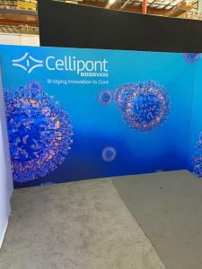RENTAL: Island Rental Design with (2) Backlit Arch Canopy Structures -- View 6